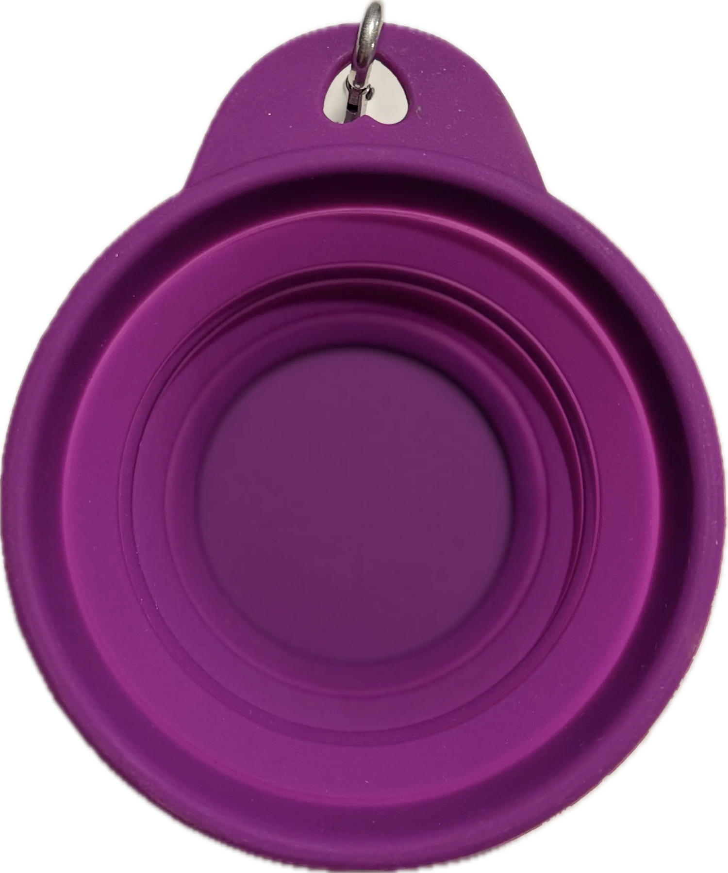 GRAZ'N Collapsible Water Bowl for Rabbits, Guinea pigs, Hamsters and other small pets