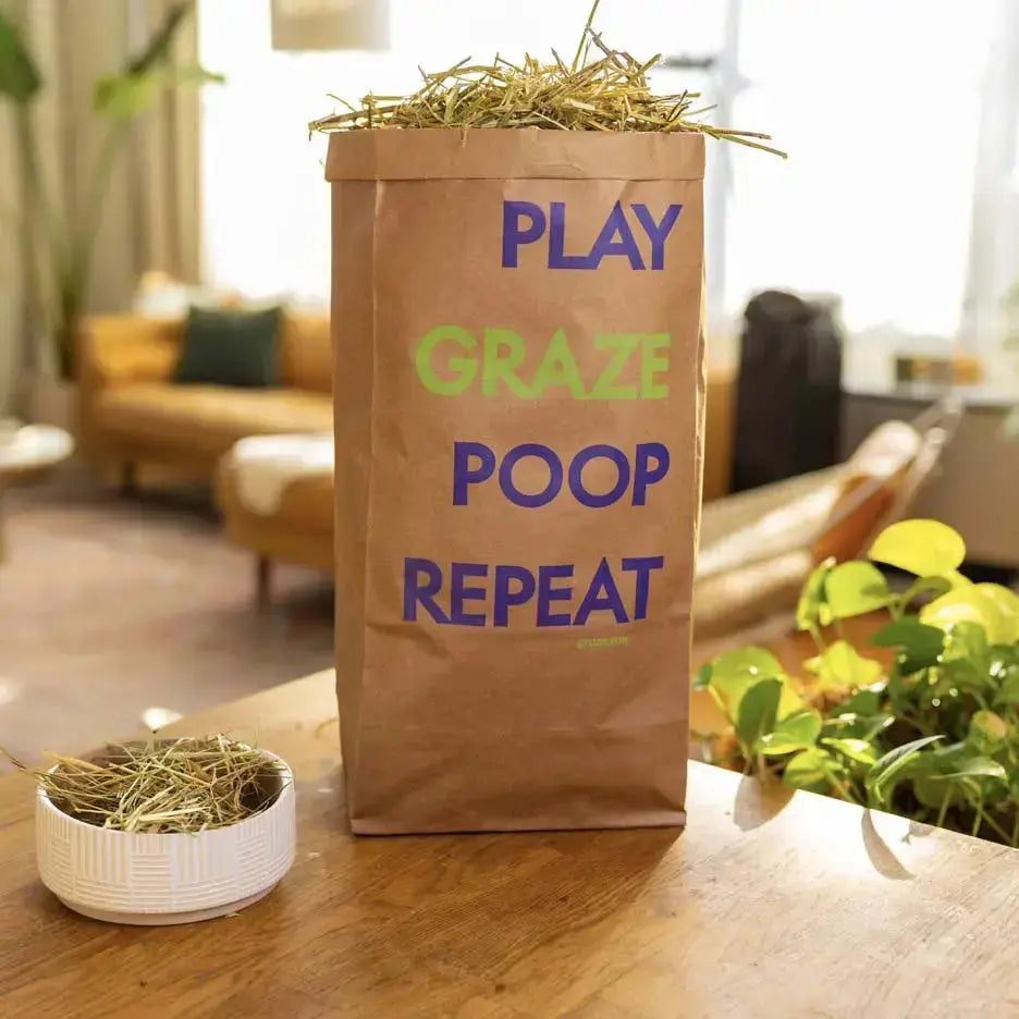 Graz'n Organic Alfalfa Hay for Small Pets GRAZ'N