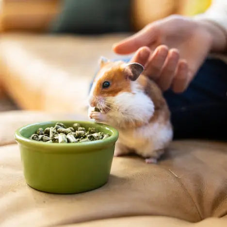 Graz'n Organic Alfalfa Pellets for Small Pets GRAZ'N