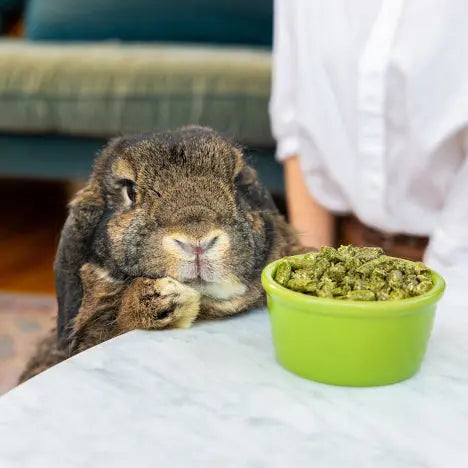 Graz'n Organic Alfalfa Pellets for Small Pets GRAZ'N