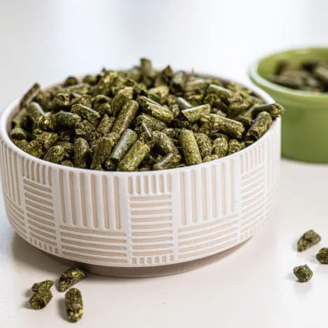 Graz'n Organic Alfalfa Pellets for Small Pets GRAZ'N