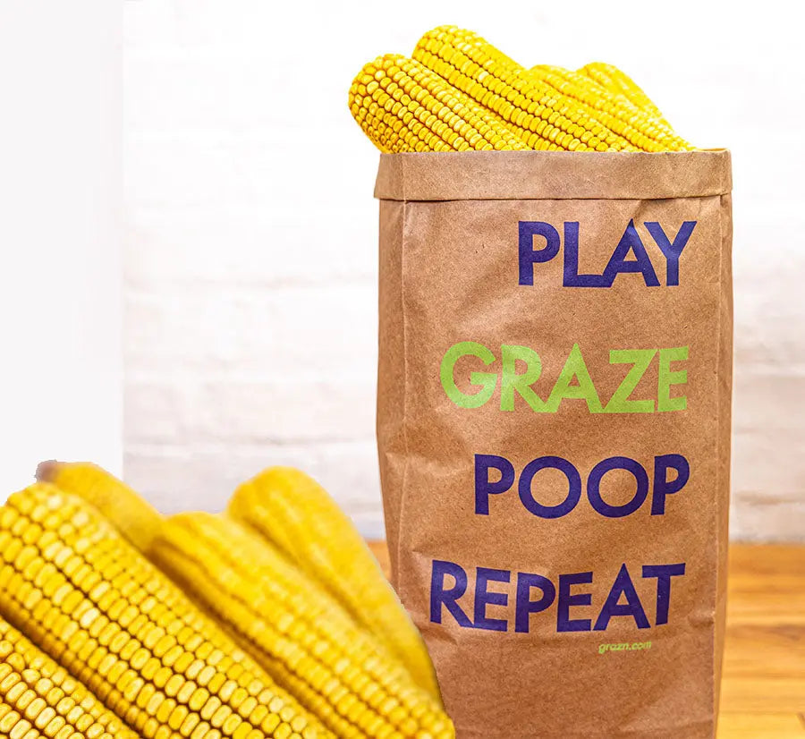 Graz'n Organic Ear Corn for Backyard Buddies GRAZ'N