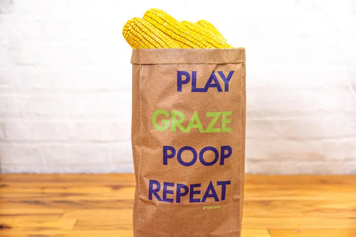 Graz'n Organic Ear Corn for Backyard Buddies GRAZ'N