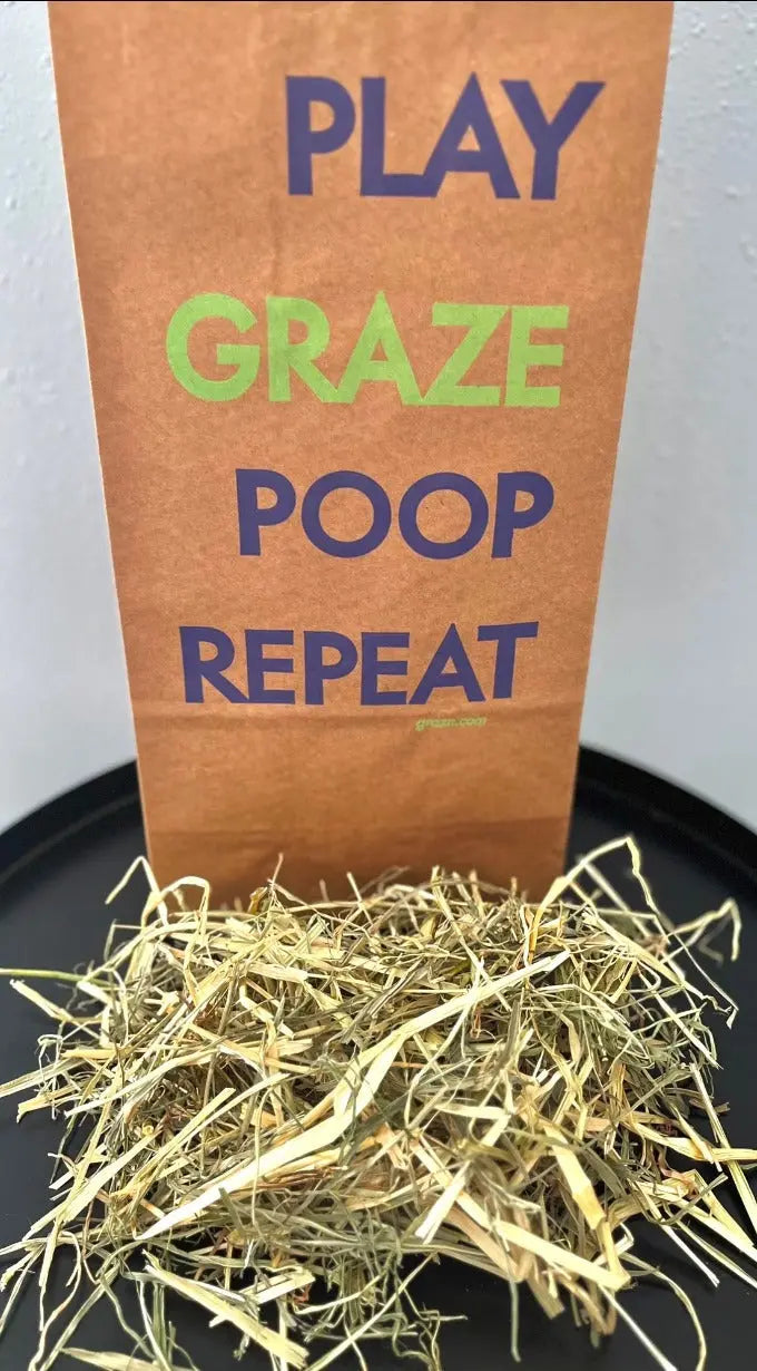 Graz'n Organic Oat Hay for Small Pets GRAZ'N