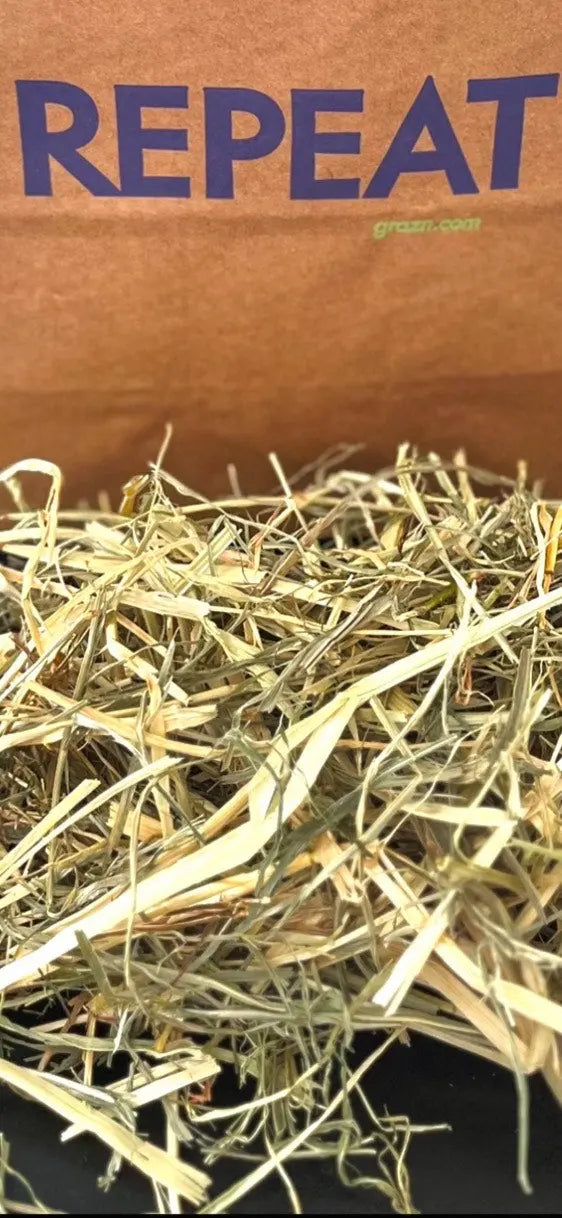 Graz'n Organic Oat Hay for Small Pets GRAZ'N
