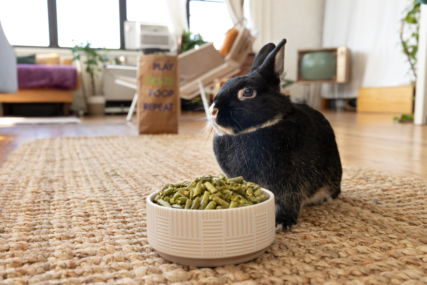 Graz'n Organic Timothy Pellets for Small Pets GRAZ'N