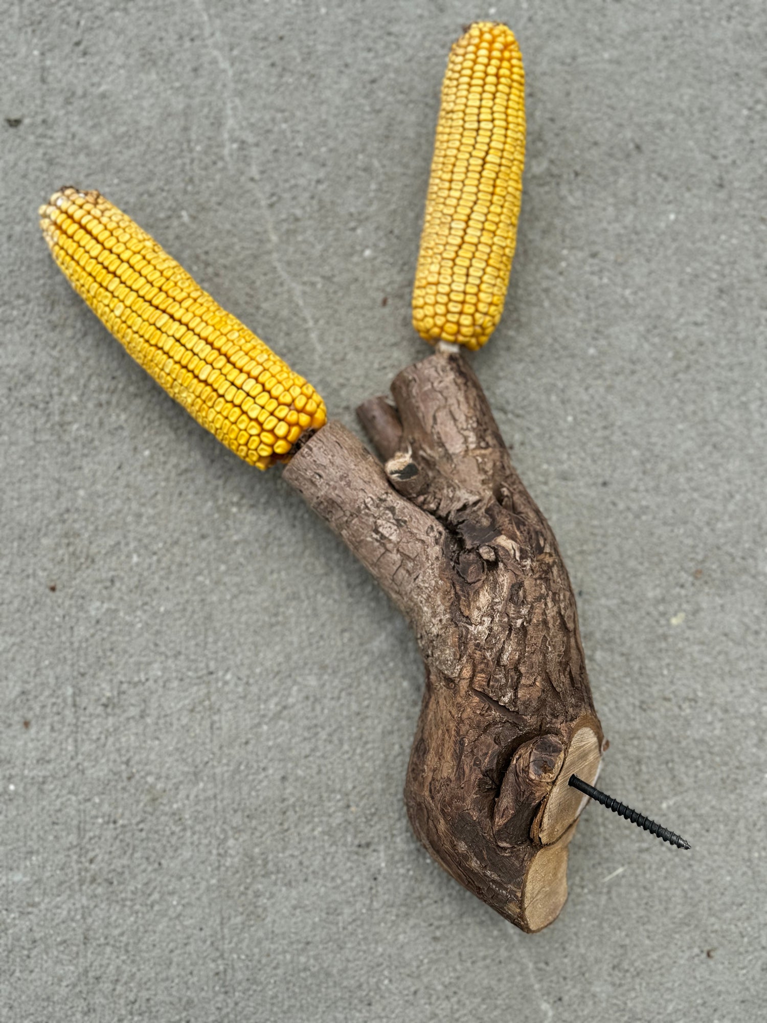 Graz'n Organic Wildfeast For Wild Birds & Backyard Buddies GRAZ'N