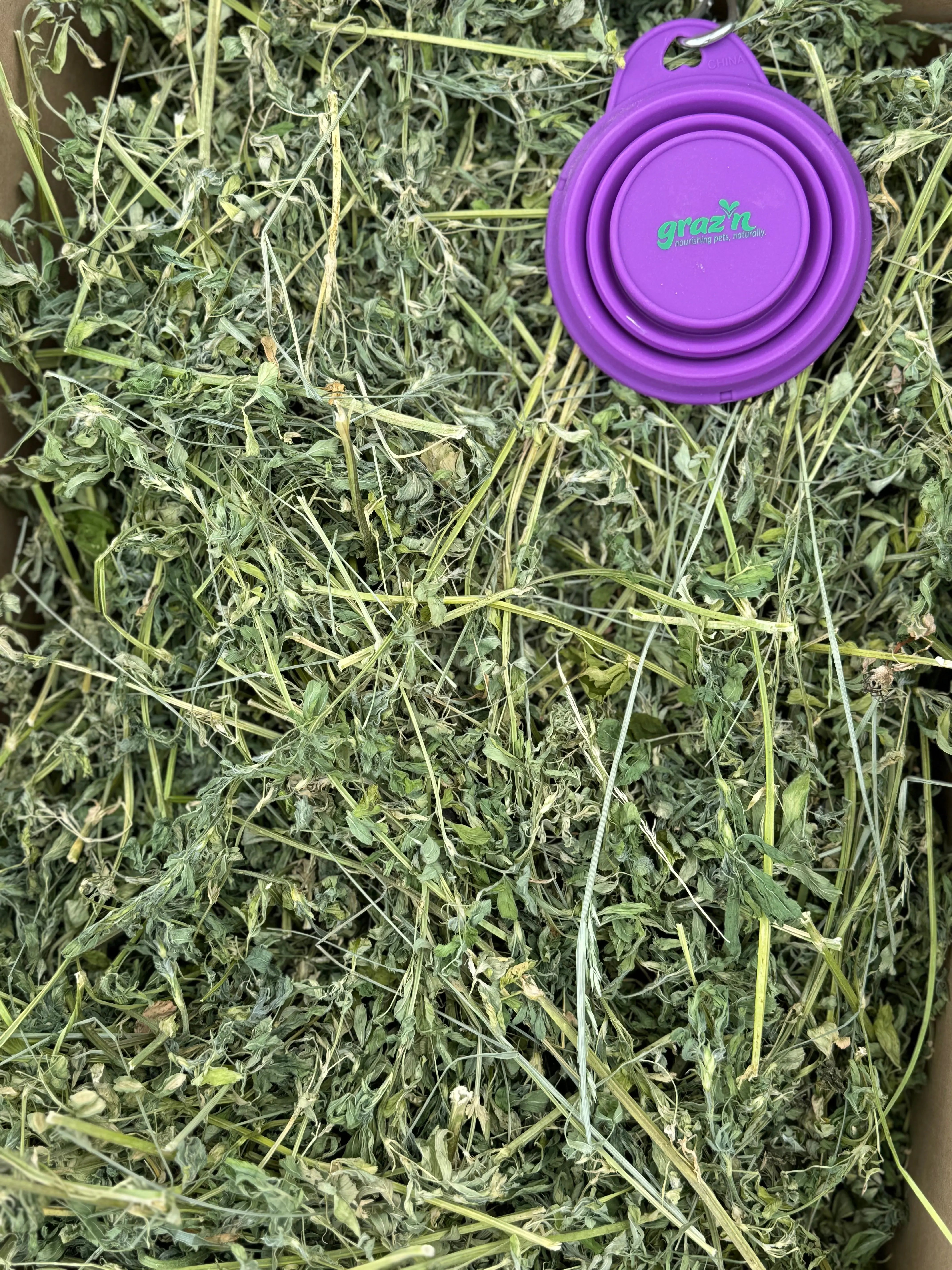 Beautiful view of Organic Hay For Rabbits With Kidney Failure