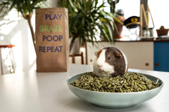 Graz'n Organic Prairie Hay & Chew Bundle for Small Pets GRAZ'N